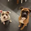 Nora Becker - @nora.becker0 - TikTok