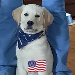 Nora J Blevins Thomas - @norablevinsthomas - Instagram