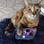 Norah Bunch - @iamplatypus1 - Instagram