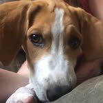 Rory Nora - @rorynorabunch - Instagram