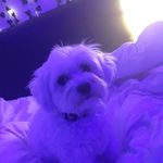 nora burke - @noraburke76 - Instagram