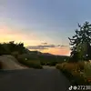 norah🐆🥂🥥 - @norah.burke27 - TikTok
