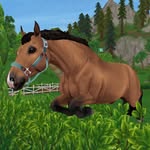 Nora burton - @nora._horses_ - Instagram