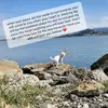 Nora Burton - @noralima11 - TikTok