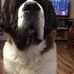 Nora Bush - Facebook