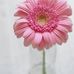 Nora Byrd - Facebook