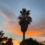 Norah Callahan - Facebook