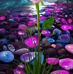Nora Campos - Facebook