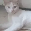 Nora Campos - @nora.campos29 - TikTok