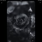 Nora - @nora_cassidy16 - Instagram
