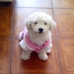 Nora Cataldo - Facebook