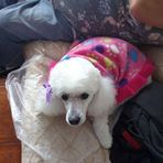 Nora Cataldo - Facebook