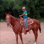Xavier Ramon Nora Cazares - @xavierramonnora - Instagram