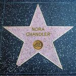 Nora Chandler - @chandler9164 - Instagram