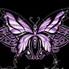 Nora Cisneros965 - @user1443782474092 - TikTok
