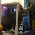 Nora Cobb - @nora_cobb9758 - Instagram