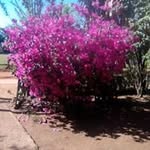 Nora Coronel - @coronel.nora - Instagram
