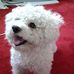 Nora Cronin - Facebook