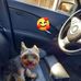 Nóra Dobos - Facebook