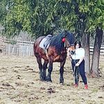 Nora Dobos - @dbs_noraaa - Instagram