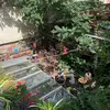Nóra Dobos - @nodajoda - TikTok