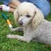 Nora Fraser - Facebook