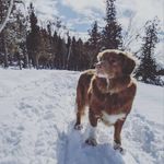Nora Gillespie - @roma6482 - Instagram