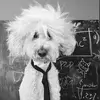 Nora Graff - @nora.graff2 - TikTok