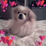 Nora Greene - @noragreene8046 - Instagram