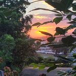 Nora Greene - @nverdee.8130704 - Instagram