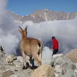 nora gregory - @noragregory81 - Instagram