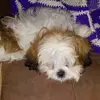noragregory868 - @noragregory868 - TikTok