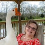Nora Grimes - @nora.grimes.58 - Instagram