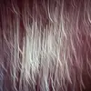 Nora Hardy - @nora.hardy26 - TikTok