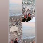 Nora M Hashem - @norahashem46 - Instagram