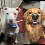 Nora and Henry Mining - @nora_and_henry - Instagram