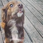 NoraHenry1350 - @norahenry1350 - Instagram