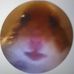 Nora Herrmann - Facebook
