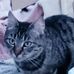 Nora Howard - Facebook
