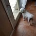 Nora Huffman - Facebook
