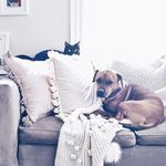 Nora, Fuji & Hunter - @norafujiandhunter - Instagram