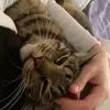 Nora Hunter - @nora.hunter1 - TikTok