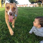 Nora Thomas Hunter - @norakthomas - Instagram
