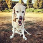 NORA + IRVING - @twolabsinbucharest - Instagram