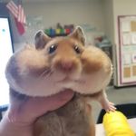 Nora - @nora_kochubey - Instagram