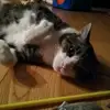 Nora Kühn - @nora.2011_9 - TikTok
