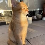 Nora Lilly - Facebook