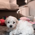 Nora Lilly - Facebook