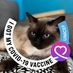 Nora Limon - @nora.limon.219 - Instagram