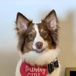 Nora Lyons - @its_noratheexplorer - Instagram
